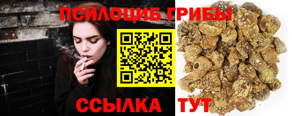 Галлюциногенные грибы MAGIC MUSHROOMS  цена   Омск  Вход с VPN 